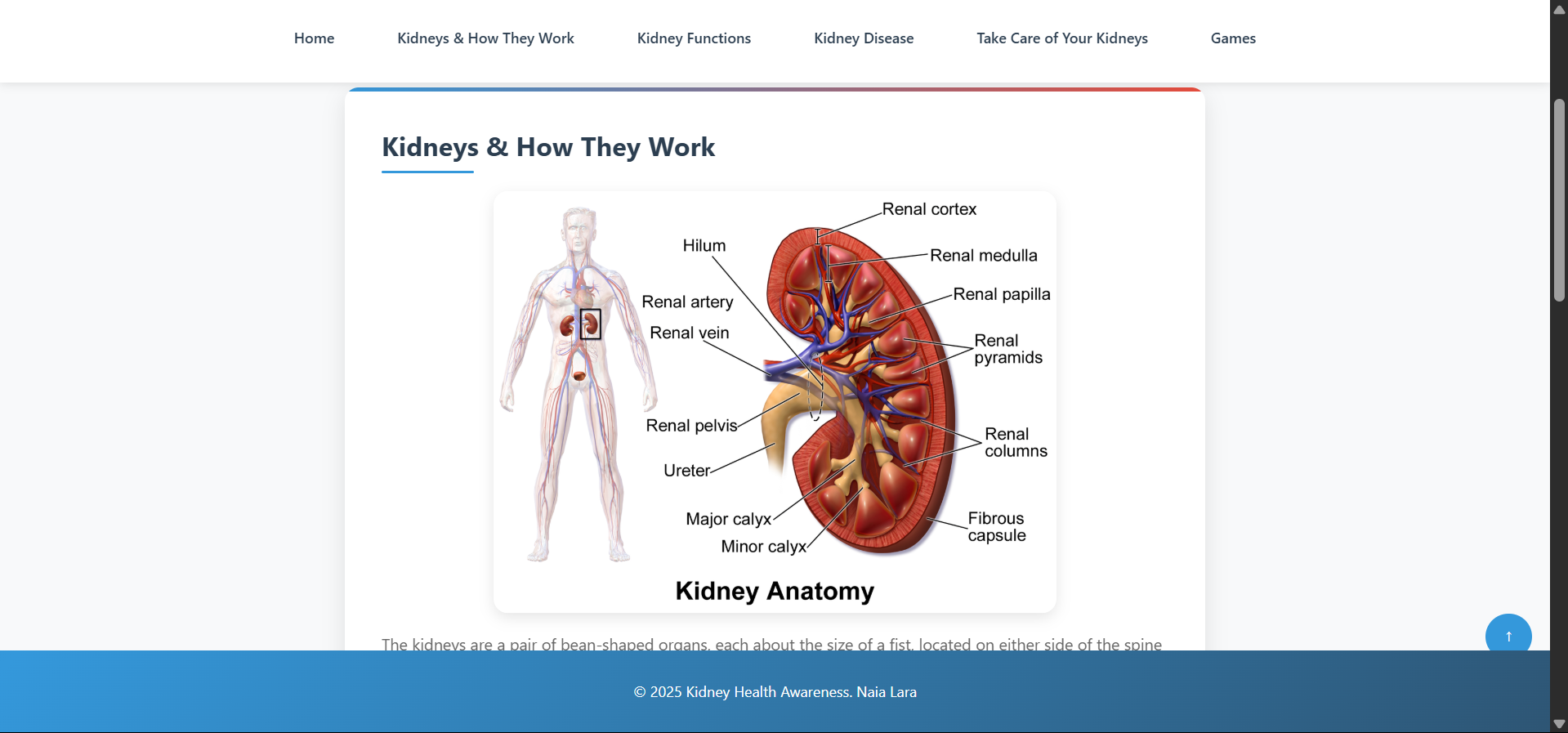 Kidney Website Screenshot2